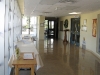 Narthex 