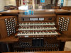 Organ1